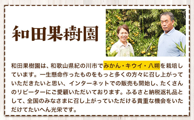 ご家庭用 温州みかん 5kg (S～Lサイズ混合) 和田果樹園【先行予約