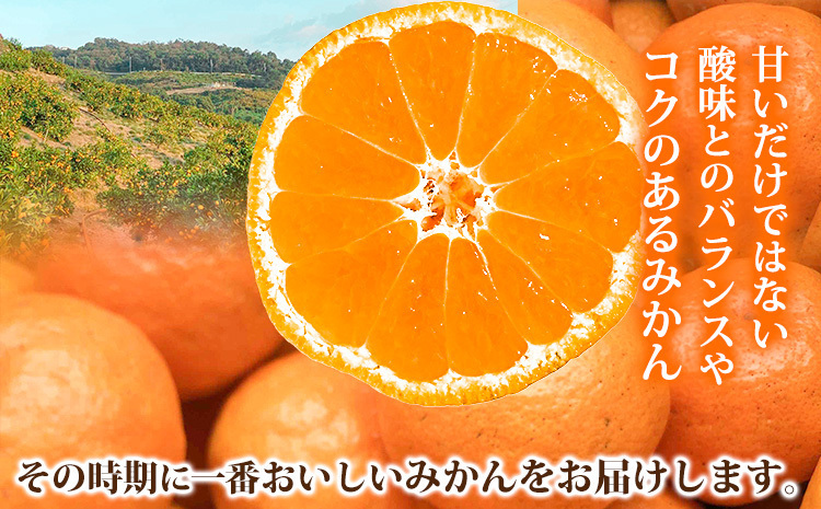 ご家庭用 温州みかん 5kg (S～Lサイズ混合) 和田果樹園【先行予約