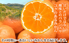 ご家庭用 温州みかん 5kg (S～Lサイズ混合) 和田果樹園【先行予約