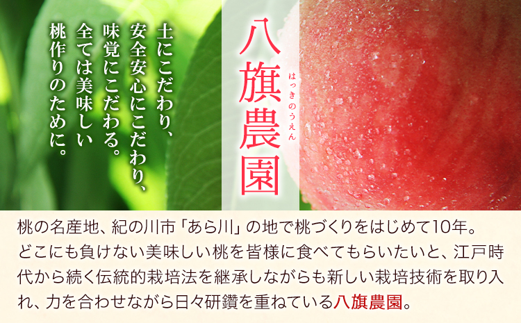 あら川の桃Premium ギフトセット 500ml×2本 八旗農園《30日以内に出荷
