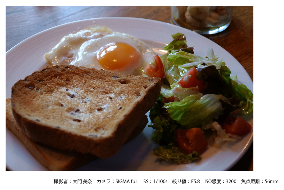 SIGMA 16-300mm F3.5-6.7 DC OS | Contemporary【富士フイルムX
