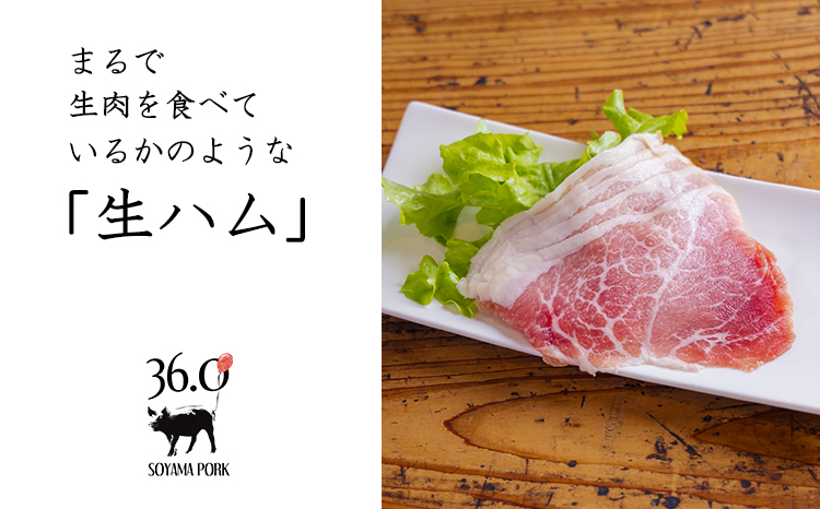 ソヤマポークのこだわり生ハムセット3種類(100g×6p) TF827-P00078