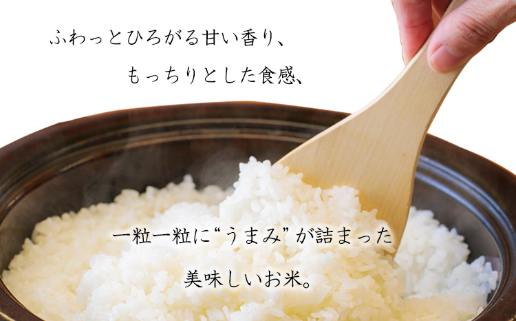 令和6年産 高原町産ヒノヒカリ2kg（無洗米）[数量限定 九州産 宮崎県産