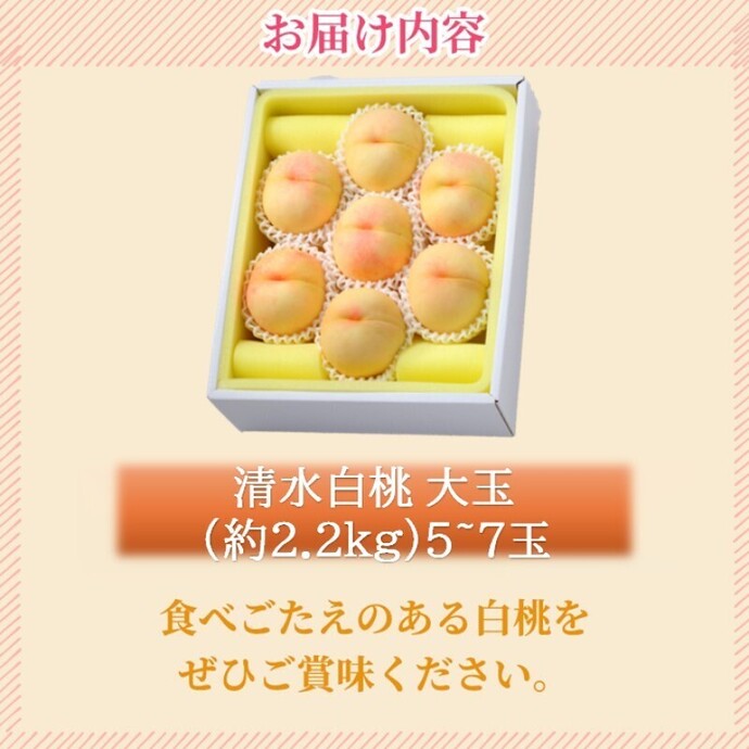 2026年 早期受付 岡山県産 清水白桃 大玉 (約2.2kg) 5～7玉 桃 白桃 も
