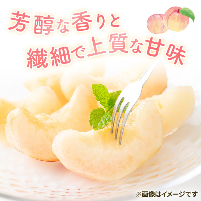 2026年 早期受付 岡山県産 白桃 恵白 (約2.2kg) 5～7玉 桃 もも 果物