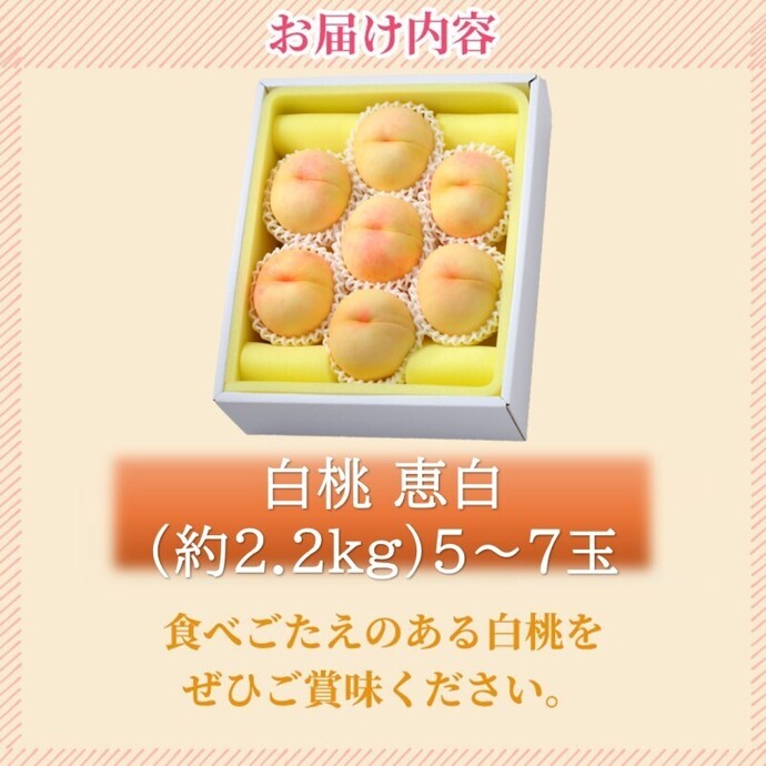 華ちゃん出品★岡山県産白桃【恵白】4キロ満杯 2026年 早期受付 岡山県産 白桃 恵白 (約2.2kg) 5～7玉 桃 もも 果物