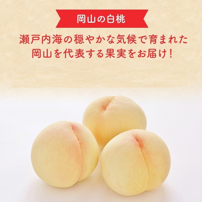 2026年 早期受付 岡山県産 白桃 恵白 (約2.2kg) 5～7玉 桃 もも 果物