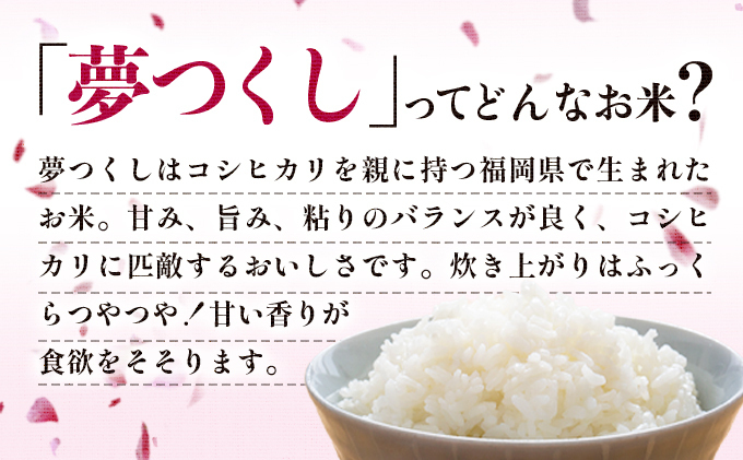 最短7営業日以内発送】令和7年産 福岡県産米 夢つくし 5kg 精米