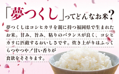 最短7営業日以内発送】令和7年産 福岡県産米 夢つくし 5kg 精米