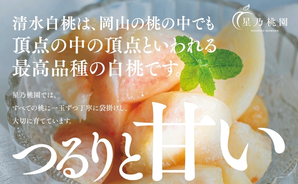 先行受付【清水白桃】岡山県産 三つ星 星乃桃園 780g (3玉) 1614286