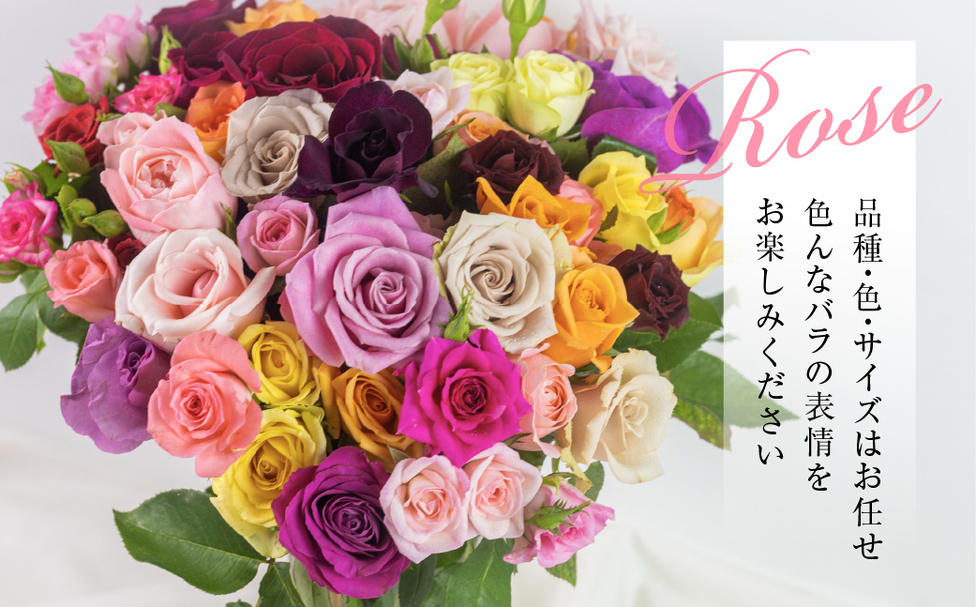 バラ 花束 50本 チャーミングローズ | 田原市公式ふるさと納税【直営