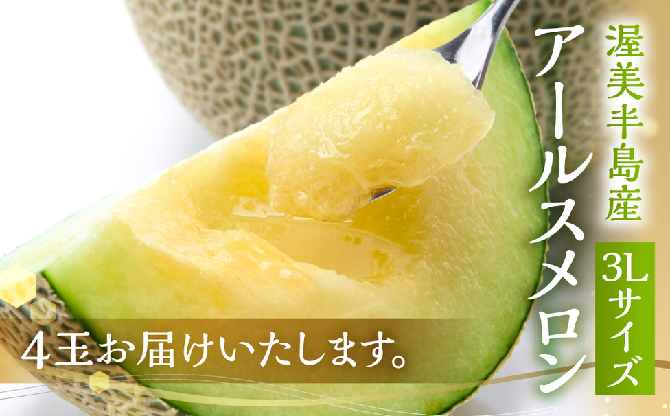 らんこまま様　愛知県産　渥美半島　温室メロン　3玉箱 らんこまま様 愛知県産 渥美半島 温室メロン 3玉箱 芳醇な香りと上品な
