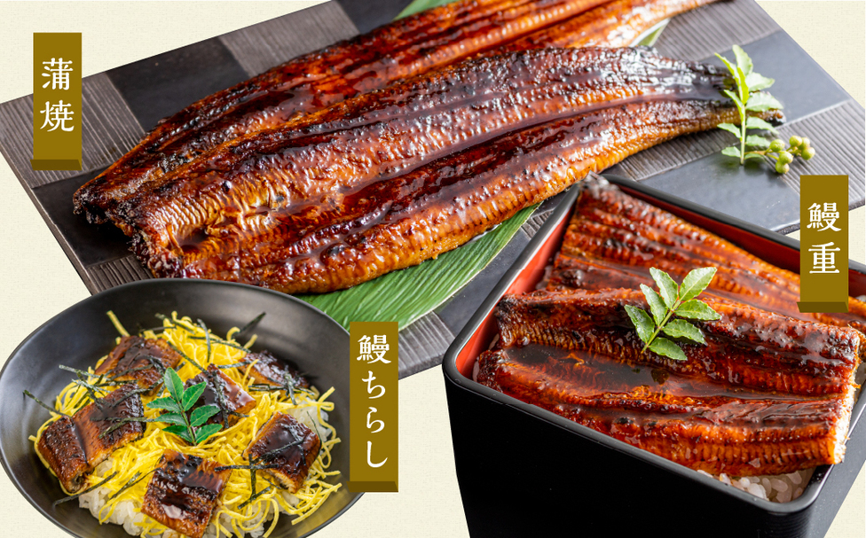鰻10 冷凍】厳選 高級 青うなぎ 10尾 蒲焼 1500g | 田原市公式ふるさと納税