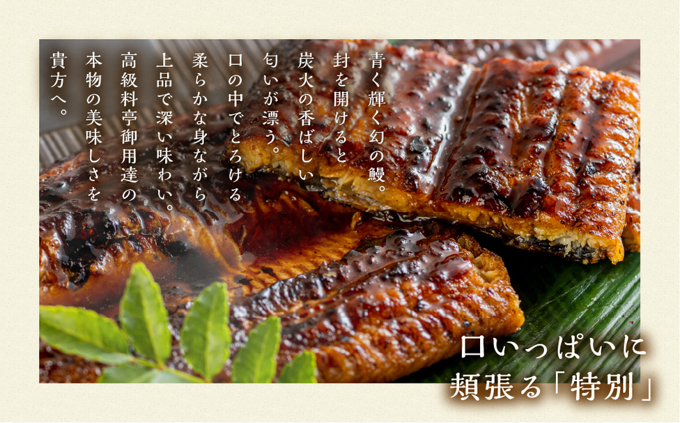 冷凍】厳選 高級 青うなぎ 10尾 蒲焼 1500g | 田原市公式ふるさと納税
