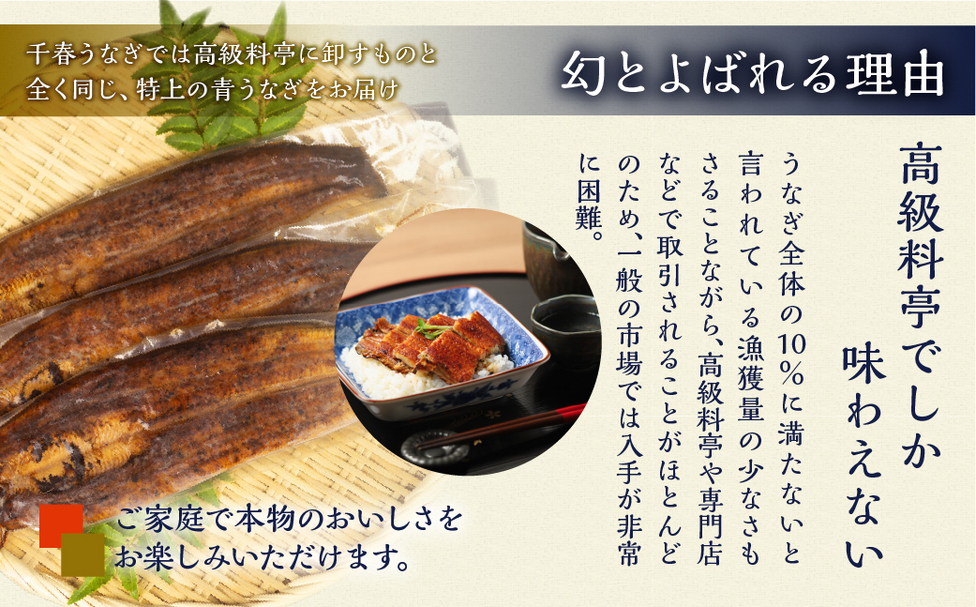 冷凍】厳選 高級 青うなぎ 10尾 蒲焼 1500g | 田原市公式ふるさと納税