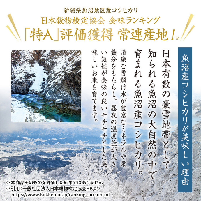 令和7年産米】魚沼産こしひかり 棚田米(十日町地域) 精米 2kg 1月配送