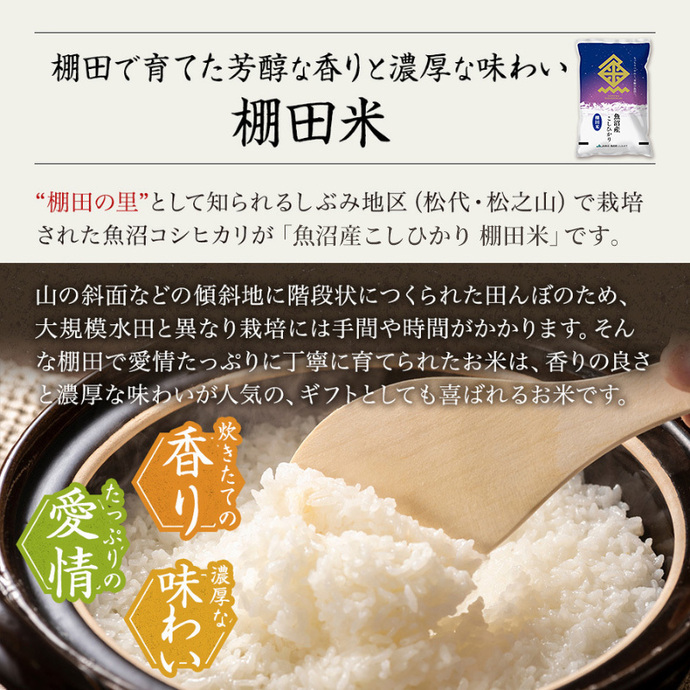 令和7年産米】魚沼産こしひかり 棚田米(十日町地域) 精米 2kg 1月配送