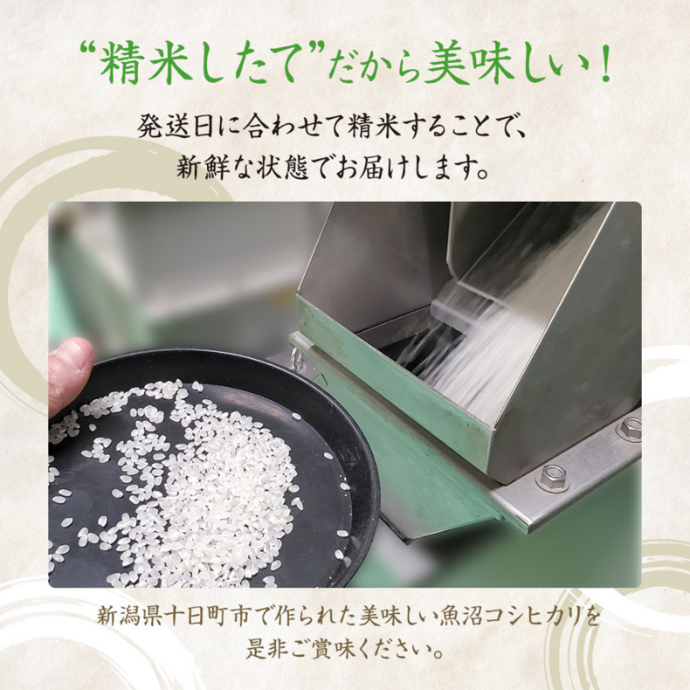 令和7年産米】魚沼産こしひかり 棚田米(十日町地域) 精米 2kg 1月配送