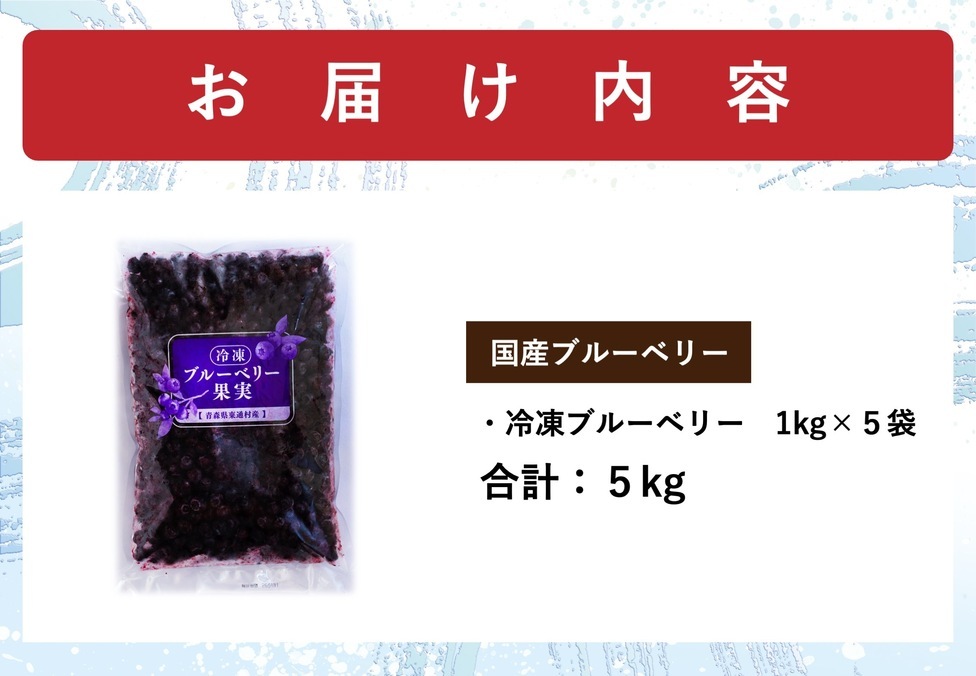 冷凍ブルーベリー5.0kg（1.0kg×5袋） | 東通村ふるさと納税